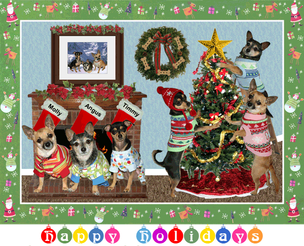 Happy Holidays