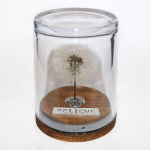 Believe Dandelion Wish Jar