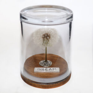 Dream Dandelion Wish Jar