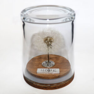 Hope Dandelion Wish Jar