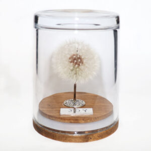 Joy Dandelion Wish Jar - Large