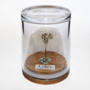 Love Dandelion Wish Jar