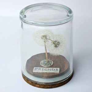 Friends Dandelion Wish Jar